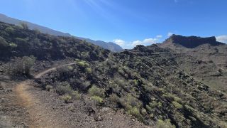 GC-Mirador de Veneguera 2025-17.jpg